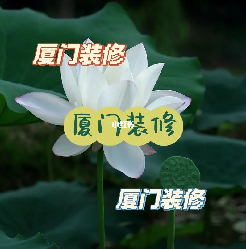 家裝軟線好還是硬線好_廈門哪家裝修公司最便宜又好_廈門家裝市場(chǎng)分析