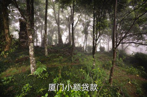 廈門(mén)小額貸款