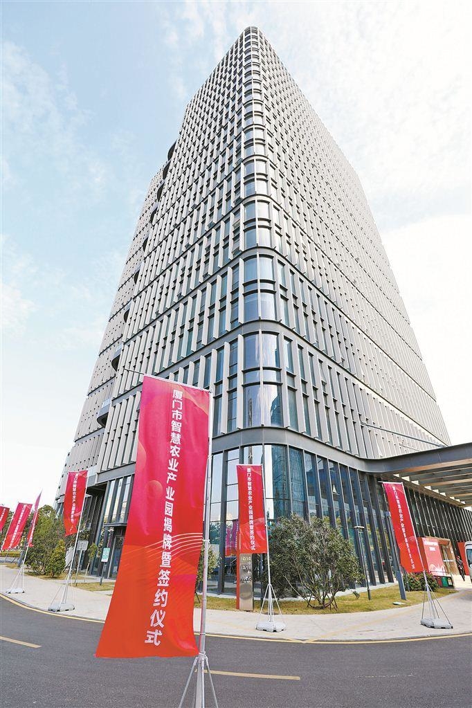 廈門(mén)市公司裝修_廈門(mén)的裝修公司_廈門(mén)裝修公司排名大全