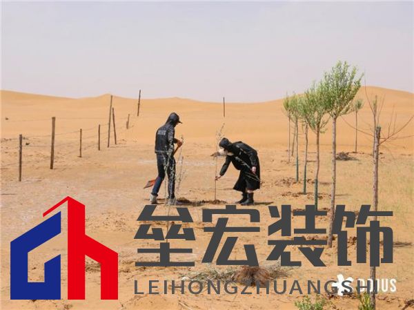 DOJUS 度假式家私:重構(gòu)家居消費場景,定義“日常,就度假”的美學革命